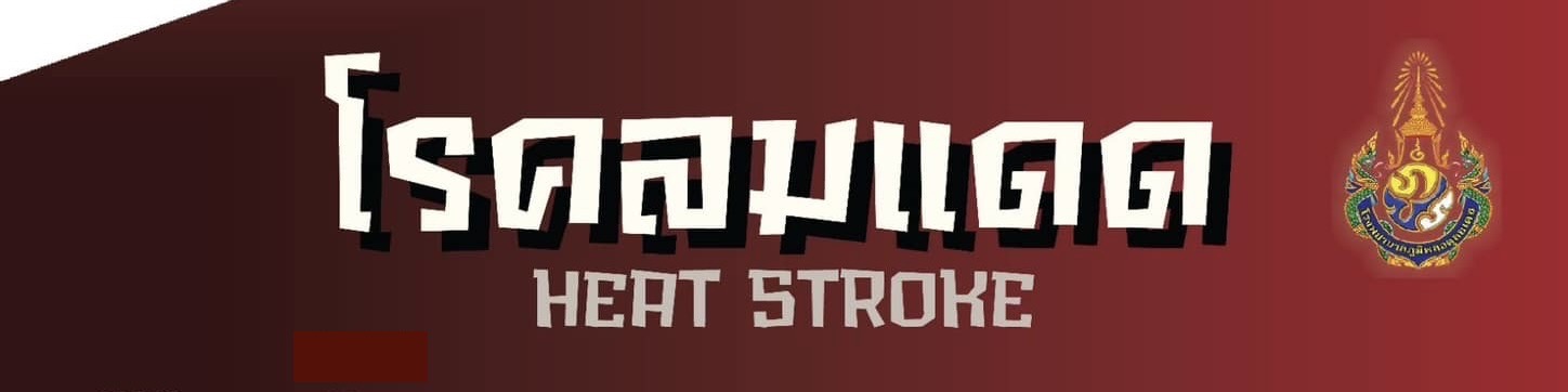 Heat stroke 2566